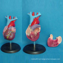 Modelo adulto de anatomia do coração adulto para demonstração médica (R120101)